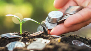 Các doanh nghiệp hình thành nhiều ý tưởng kinh doanh bền vững để giải quyết nhu cầu về mong muốn tiêu dùng có trách nhiệm hơn của khách hàng