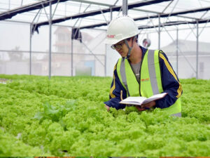 Khởi nghiệp trong lĩnh vực nông nghiệp xanh