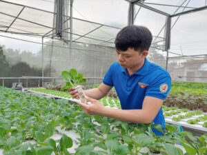 Phan Trọng Nhân bên vườn rau ứng dụng công nghệ cao