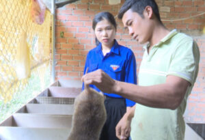 Thanh niên khởi nghiệp từ chăn nuôi dúi