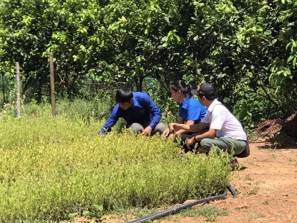 Nông trại xanh triển vọng mô hình khởi nghiệp xanh 