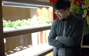 Vườn ươm nông nghiệp xanh