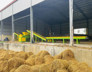 Máy nghiền 2 trục nghiền rơm thành các đoạn nhỏ phục vụ cho việc trồng rơm