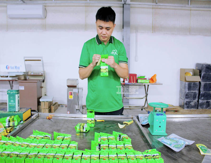 Thạch Thọ Công đóng gói sản phẩm trà