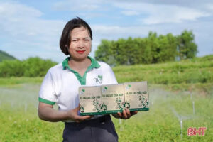 Chị Lê Thị Thể - HTX thương mại dịch vụ nông nghiệp Tiến Hiệp