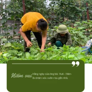 Niềm vui hàng ngày của ông bà Huê - Năm là chăm sóc vườn rau gần nhà