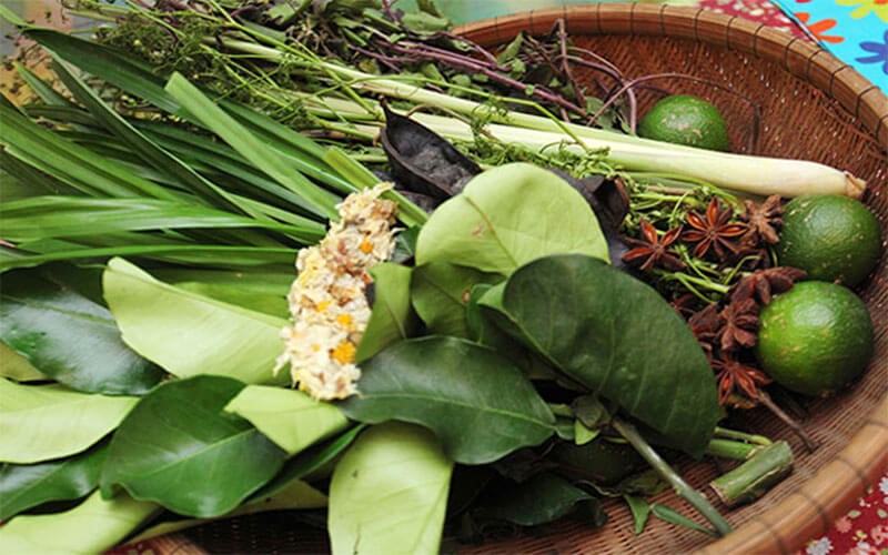 Dầu gội thảo dược cho bé