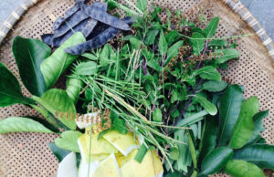 Nước tắm thảo dược cho bé sơ sinh