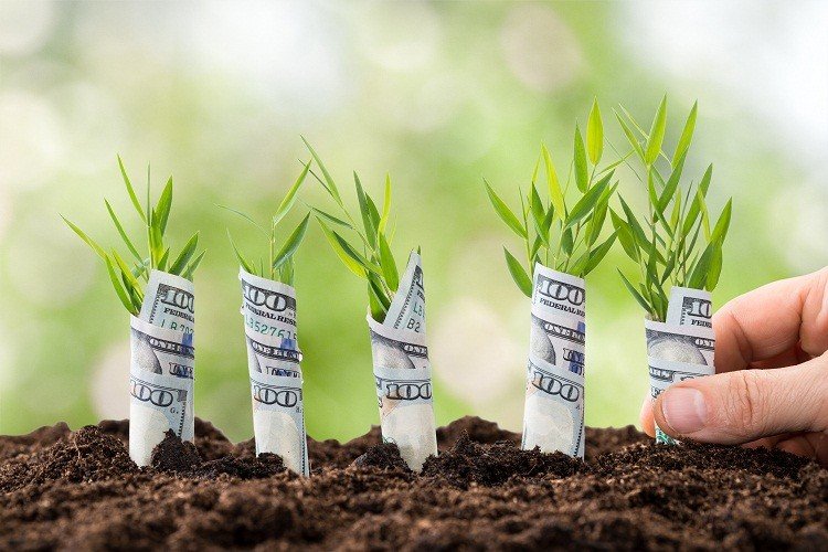 Học cách quan sát nhu cầu thị trường để chọn cho mình một lĩnh vực khởi nghiệp đáng giá