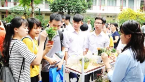 Sinh viên khởi nghiệp với nhiều ý tưởng khác nhau