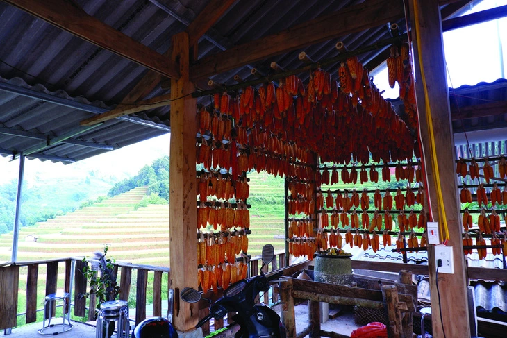 Khung cửa sổ nhà Thiêm nhìn ra những dải ruộng bậc thang ngút ngàn