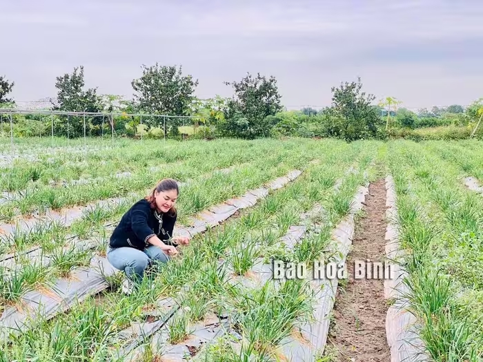 Đinh Thị Thường: Hành trình khởi nghiệp xanh nơi vùng cao Đà Bắc