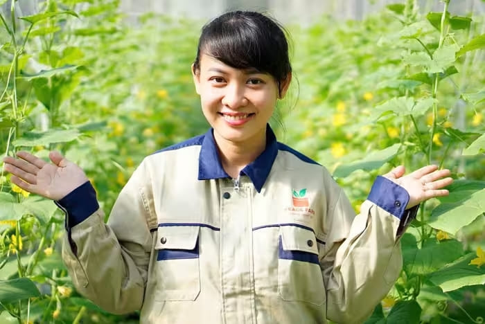 Chị Lê Ngọc Hiền - khởi nghiệp với farm dưa dưới công nghệ cao tại Vĩnh Long