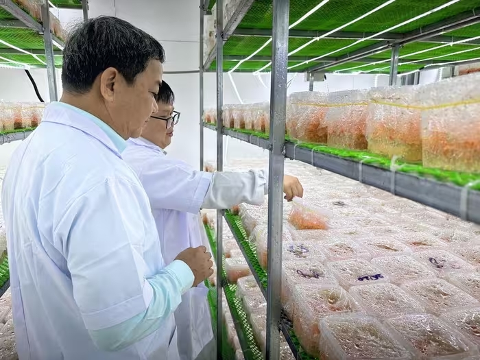 Hình ảnh tại nơi sản xuất thực phẩm sạch của anh Trần Hà Đăng