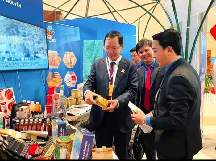 Các dòng sản phẩm nấm đông trùng hạ thảo của chi Nguyễm Thị Xuyến thường xuyên xuất hiện tại các hội chợ, trung bày giới thiệu sản phẩm OCOP của địa phương