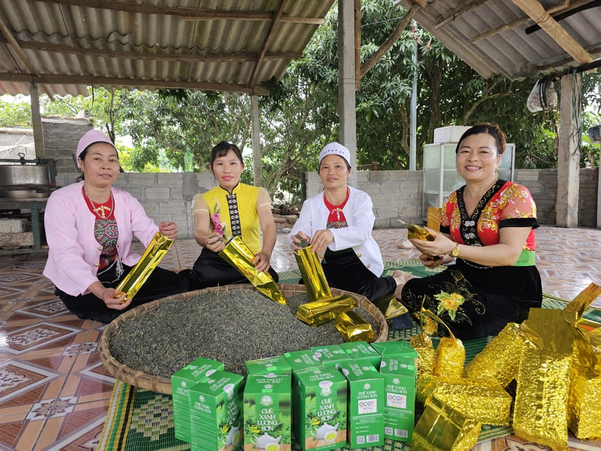 Chị Bình và các thành viên Tổ hợp tác chè xanh Đá Trắng