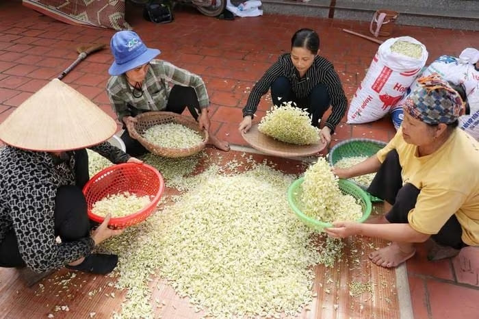 Niềm vui được mùa bội thu