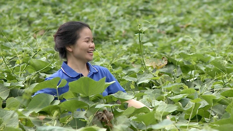 Với khát vọng vươn lên, bản tính học hỏi, lòng kiên trì là chìa khóa giúp các thanh niên dân tộc thiểu số khởi nghiệp thành công