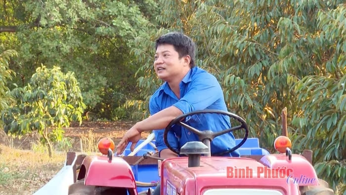 Với tinh thần cầu tiến, dám nghĩ, dám làm, anh Phạm Hùng mạnh dạn chuyển đổi nuôi dê sang trồng sầu riêng mang lại hiệu quả kinh tế cho gia đình