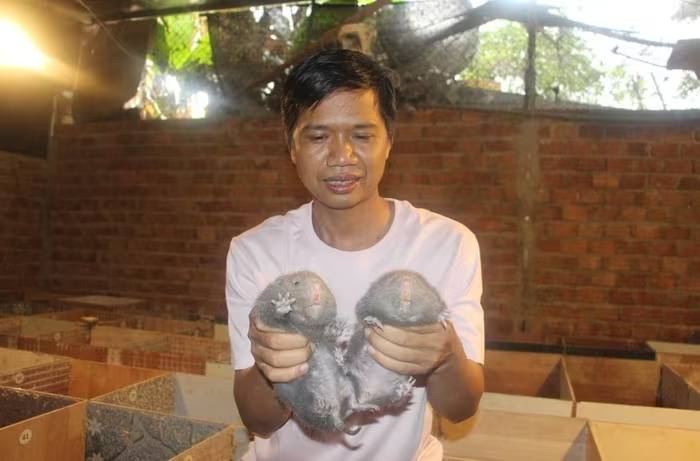 Anh Lương khởi nghiệp thành công với mô hình nuôi con dúi