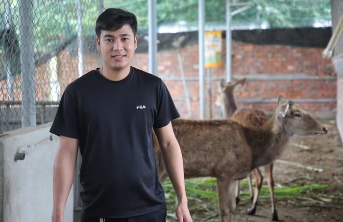 Anh Phú chăn nuôi hươu
