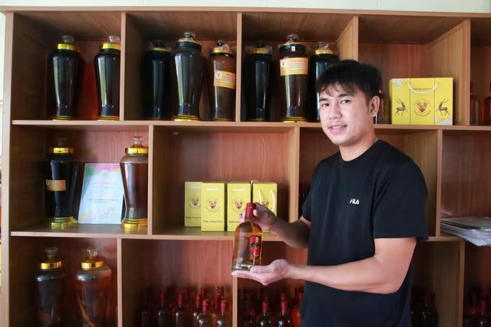 Anh Phú nuôi, chế biến các sản phẩm từ nhung hươu lãi mỗi năm khoảng 600 triệu đồng