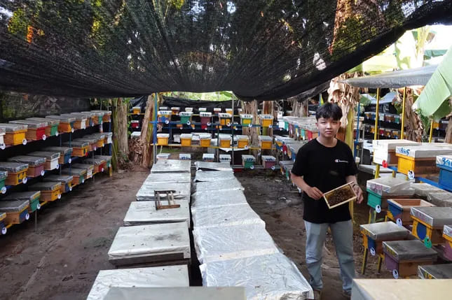 Đỗ Công Tạo bên trang trại ong của mình