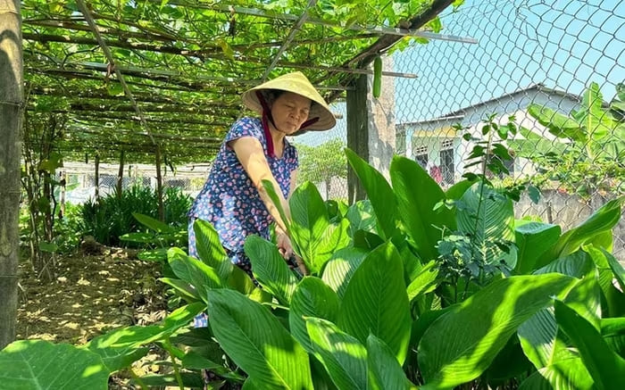 Vay vốn và khởi nghiệp: Hành trình khai phá tiềm năng của phụ nữ nông thôn TP.Huế