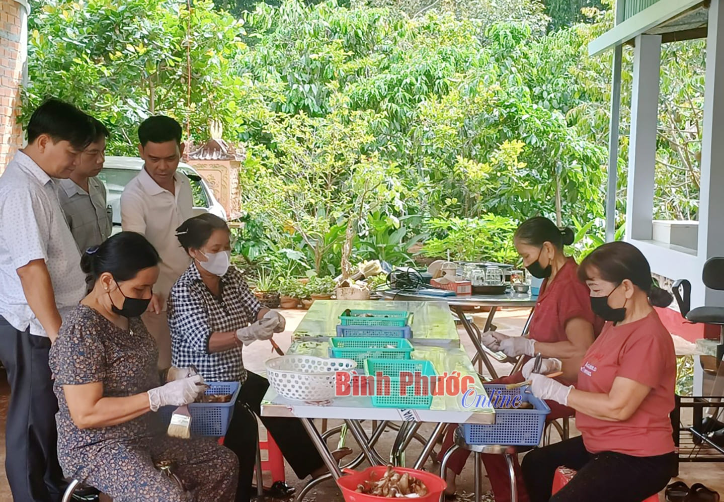 Ngoài mang lại hiệu quả kinh tế cho gia đình, trại nấm của anh Việt còn tạo việc làm cho nhiều lao động là người lớn tuổi ở địa phương