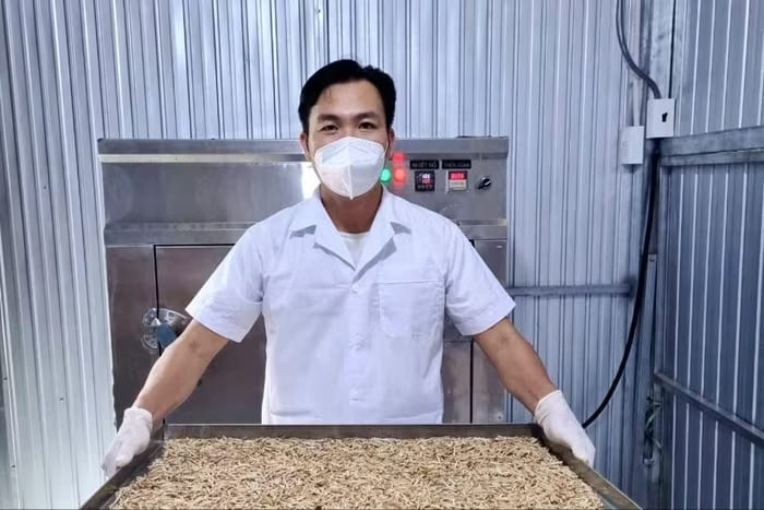 Anh Đậu nâng cao giá trị cho trái mãng cầu xiêm bằng cách chế biến làm trà