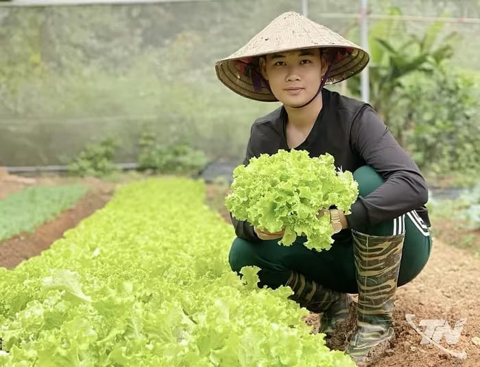 Anh Hoàng Mạnh Tuấn bên vườn rau hữu cơ