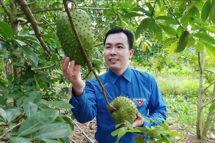 Anh Nguyễn Tấn Đậu bên vườn mãng cầu xiêm - nguồn nguyên liệu để sản xuất trà đạt OCOP 4 sao