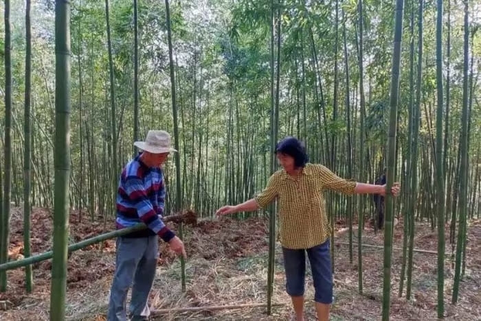 Bà Quỳnh cùng với con trai khởi nghiệp thành công vang dội