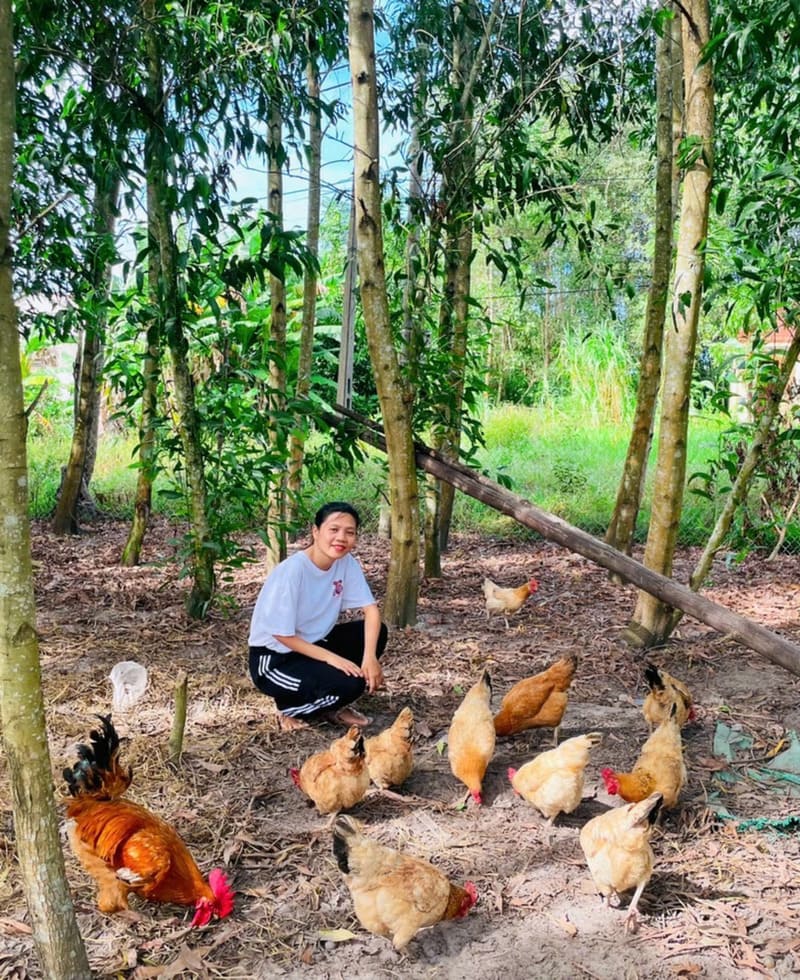 Chị Lê Thị Thanh Tuyền với Dự án Nuôi gà an toàn sinh học lấy trứng