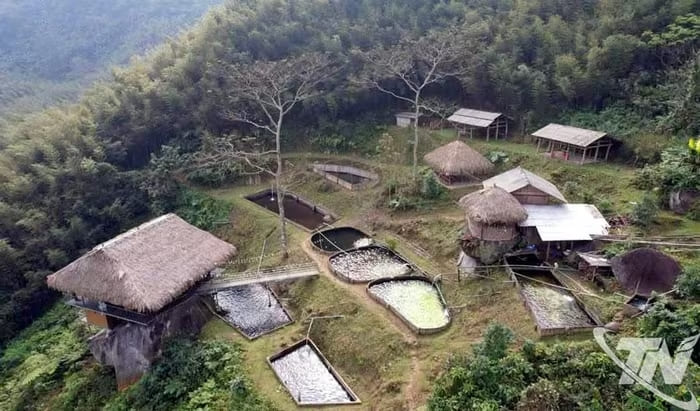 Trang trại nuôi cá tầm, cá hồi của anh Đặng Hành Dũng, ở thôn Phiêng Phàng, xã Thượng Minh