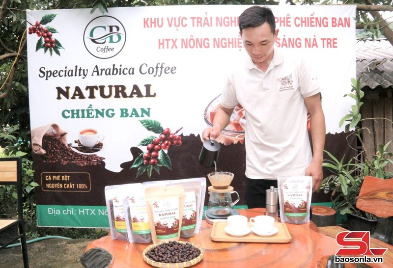 Anh Cầm Văn Hoàng chia sẻ kinh nghiệm chăm sóc cây cà phê với thành viên HTX