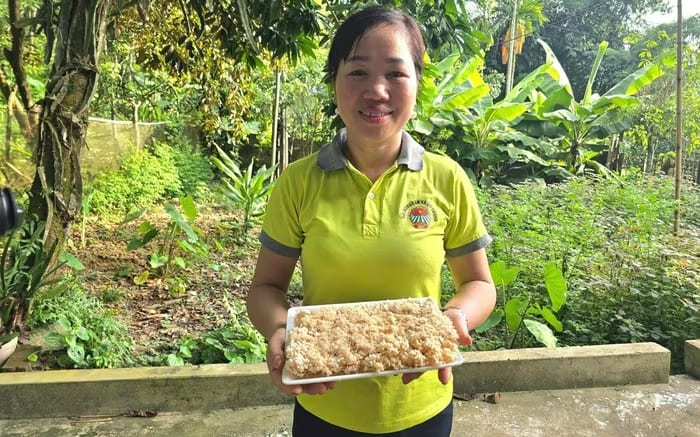 Chị Nguyễn Xuân Huế và sản phẩm cơm cháy của HTX. Dự án của chị đã đạt giải Nhì Cuộc thi “Phụ nữ khởi nghiệp” tỉnh Thái Nguyên năm 2022