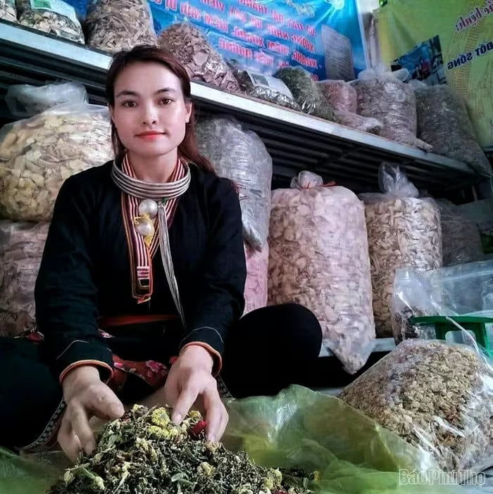 Chị Triệu Thị Hoa - Giám đốc HTX thuốc Nam dân tộc Dao Hòa Bình bốc thuốc gửi cho khách ở xa