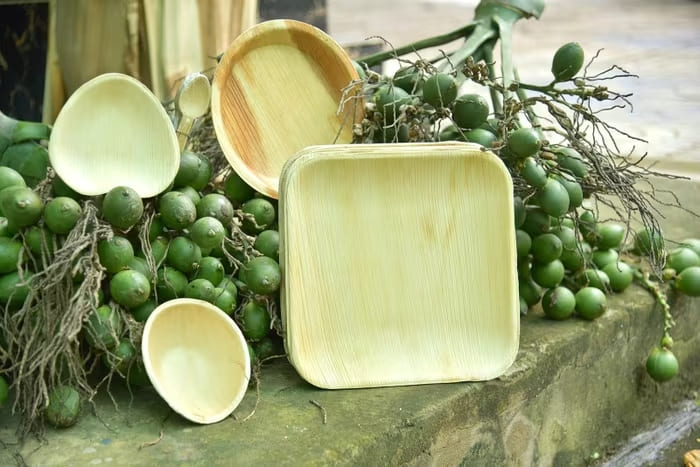 Sản phẩm làm từ mo cau thân thiện với môi trường đang được người tiêu dùng yêu thích