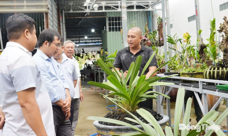 Anh Nhân (bìa phải) nhiệt tình chia sẻ kỹ thuật chăm sóc lan
