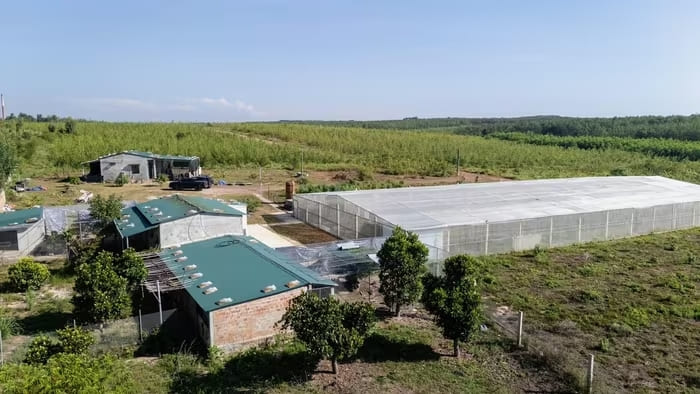 HTX Nông nghiệp hữu cơ Bamovina đang thử nghiệm một số giống cây khác