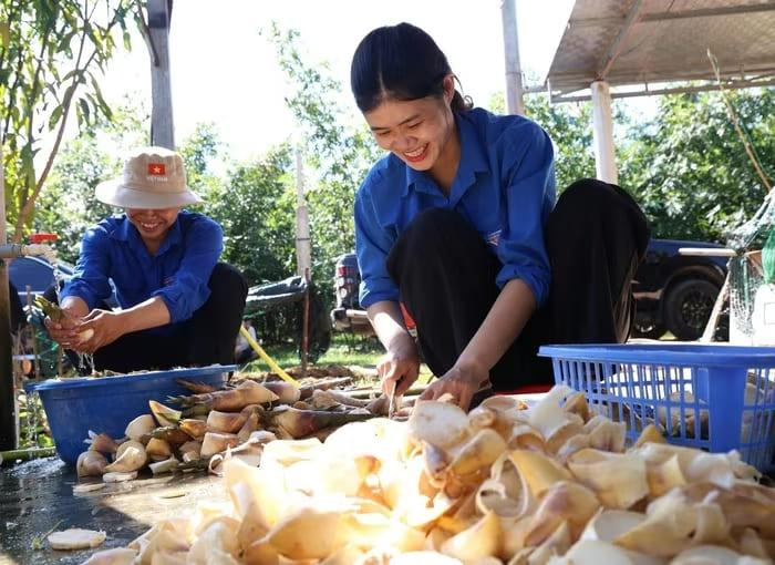 Măng đào được mang vào lột vỏ, rửa sạch chuẩn bị cho công đoạn đóng gói hoặc sơ chế