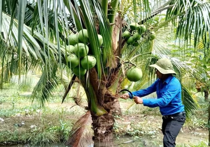 Anh Danh Hoài Hận mạnh dạn đi đầu trong việc phát triển kinh tế ở địa phương với mô hình mới