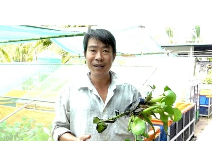 Anh Thuận giới thiệu cà cuống đực, loài côn trùng có tinh dầu thơm đặc trưng được xem là “gia vị vàng” trong ẩm thực miền Bắc