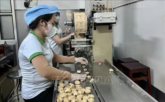 Dây chuyền sản xuất bánh hạnh nhân Tiến Anh