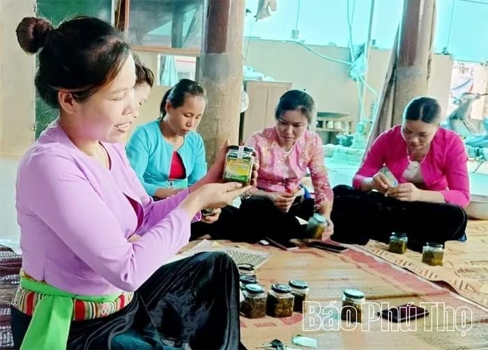 Ớt rừng Phú Lương đã được công nhận OCOP 3 sao cấp tỉnh
