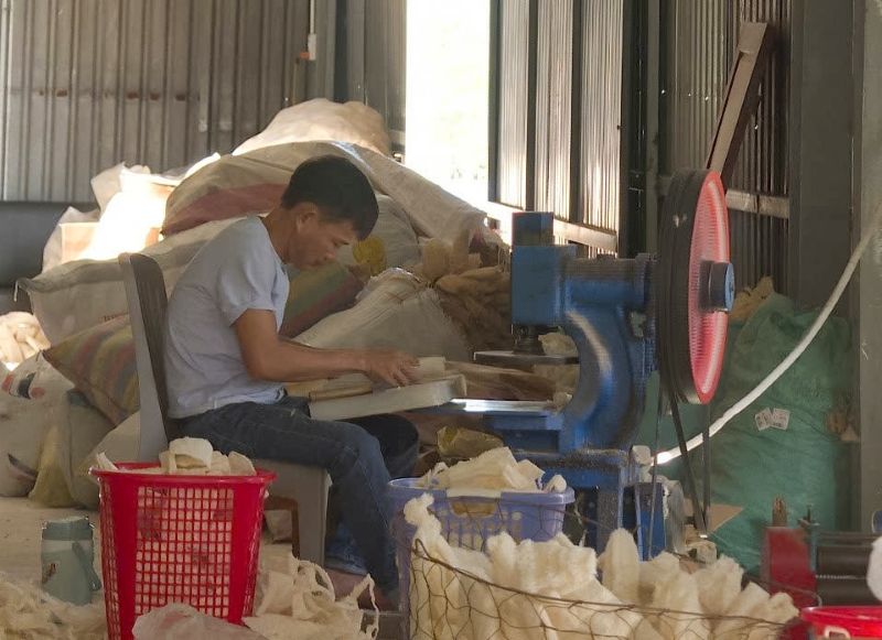 Từ những trái mướp già phơi khô, thứ trước đây thường bị bỏ đi nay lại trở thành những sản phẩm thủ công mỹ nghệ thân thiện với môi trường