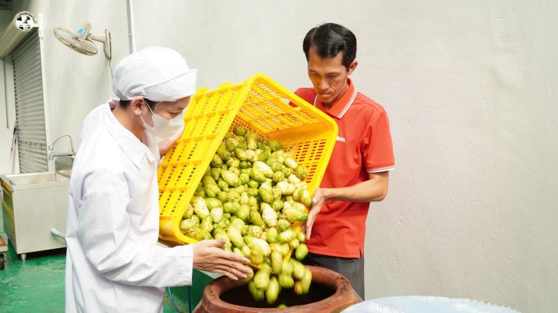 Bỏ công việc ổn định ở TPHCM, anh Khưu Văn Chương (áo đỏ) về quê khởi nghiệp từ loại cây mọc nhiều ở vùng U Minh Hạ, lợi nhuận khoảng 2 tỷ đồng mỗi năm