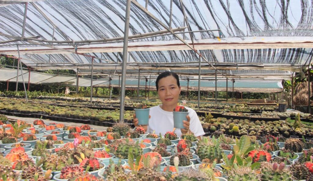 Chị Nhy bên khu vườn xương rồng được gầy dựng từ niềm đam mê
