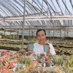 Chị Nhy bên khu vườn xương rồng được gầy dựng từ niềm đam mê